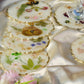 Real Flowers Handmade Set Of 6 Coasters (White)